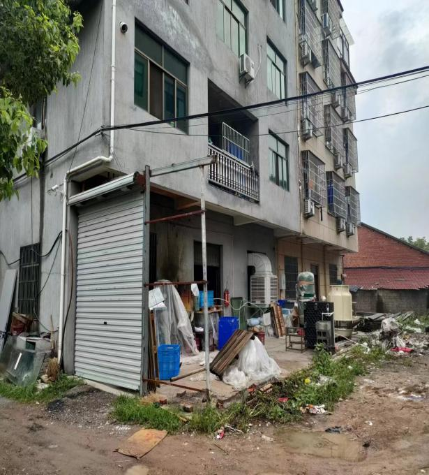 金华市金东区孝顺镇小村庄大改变助力新农村建设