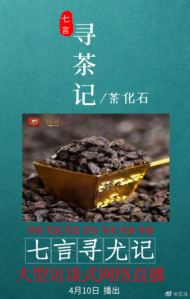 七言寻尤记,遇见最爱的事物,走进龙园茶业,品味普洱茶化石