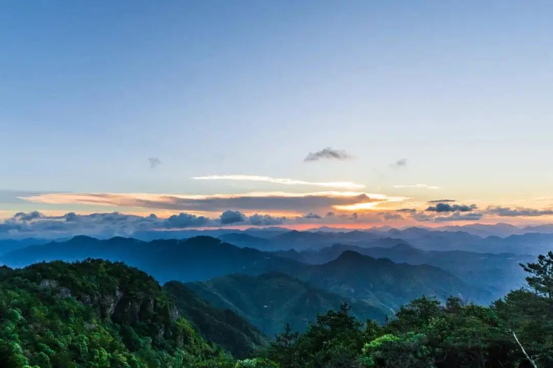 丽水市庆元县张村乡吴坑村