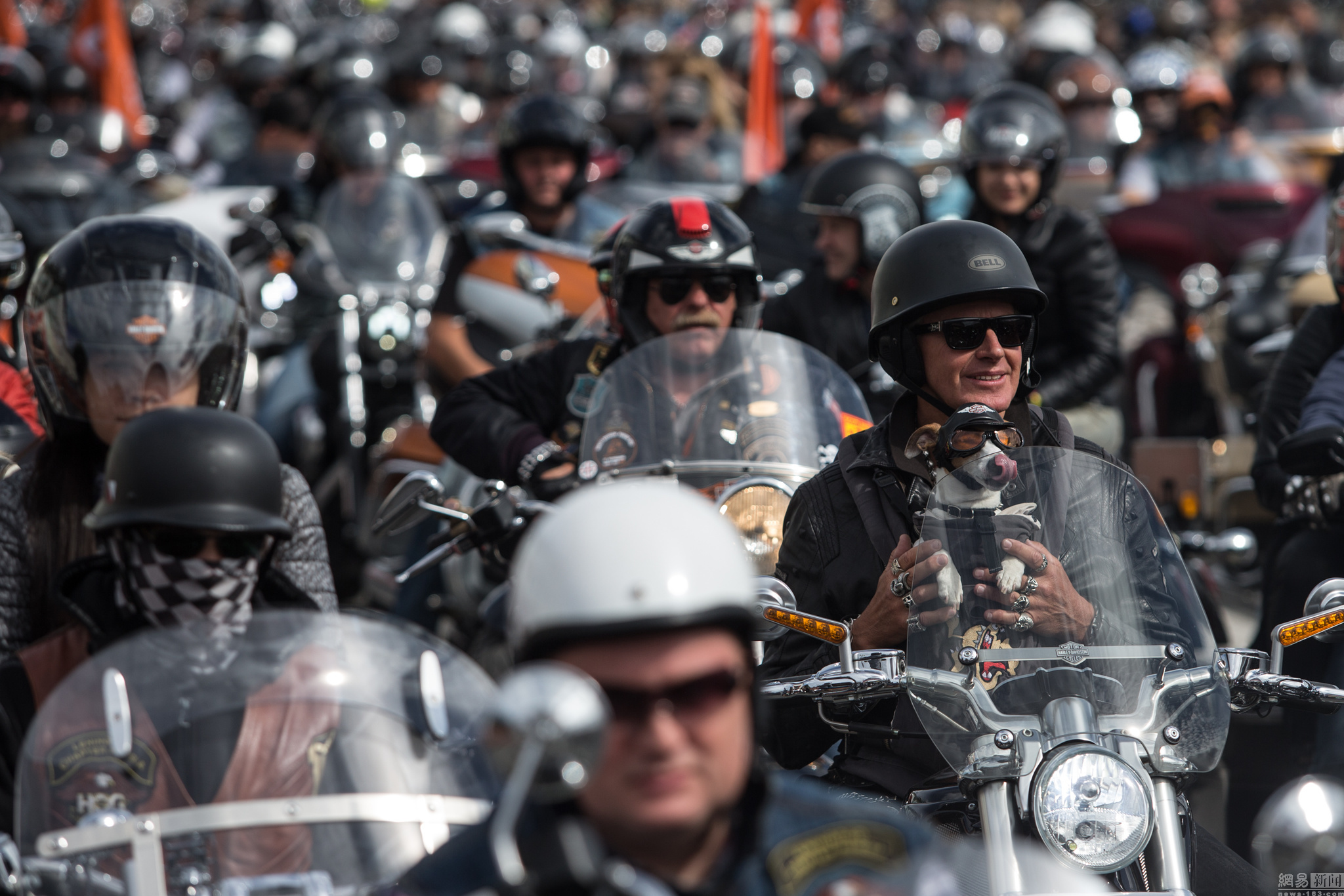 俄罗斯举办哈雷日数千摩托党亮相