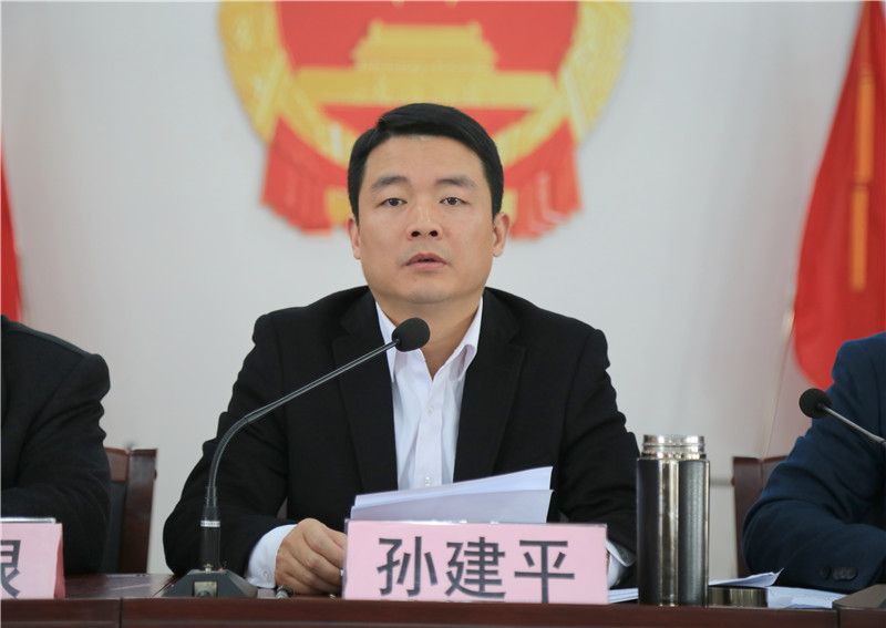 戴村镇召开2017年重点工作推进大会