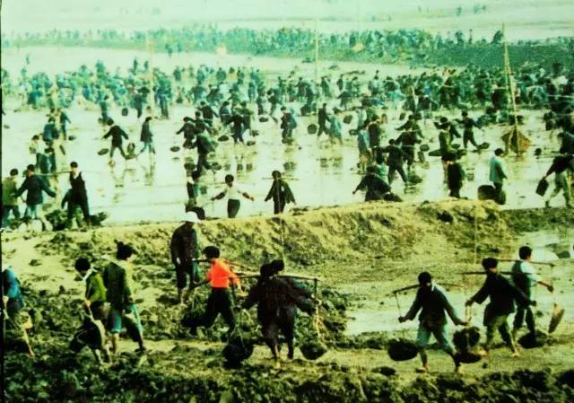 终于有人曝光沙地围垦造田全过程照片轰动全世界