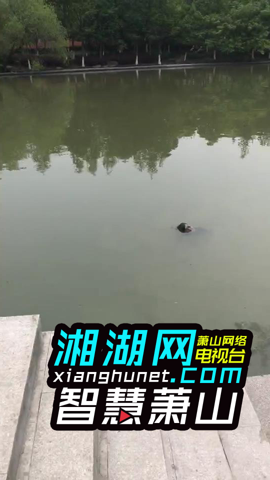 有网友爆料:文源桥旁河道内惊现浮尸!