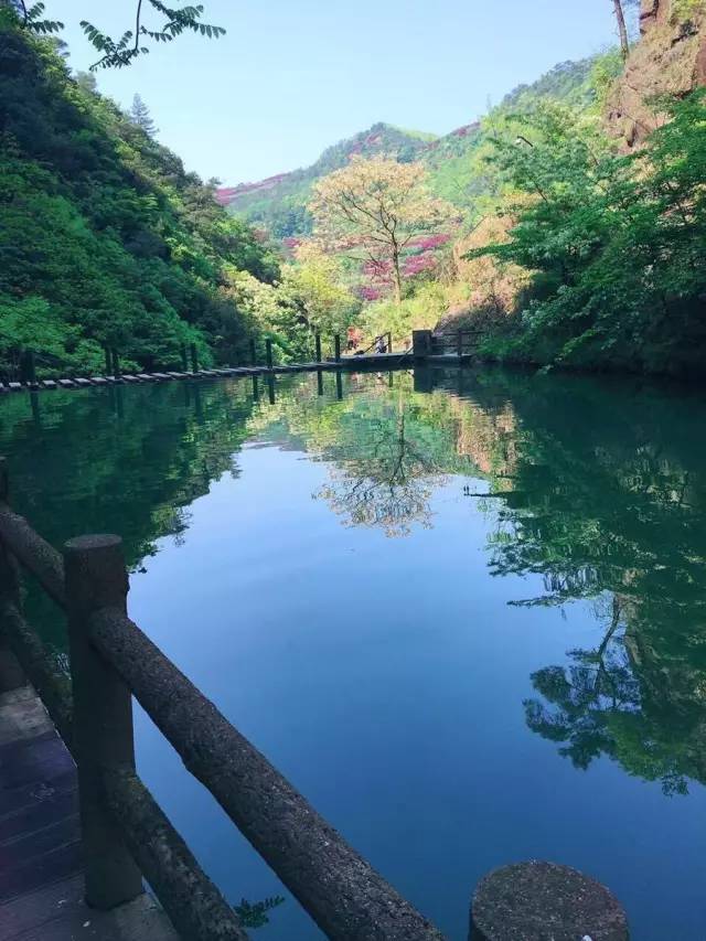 蕭山周邊這8個藏著25℃涼爽夏天的小森林,週末約起