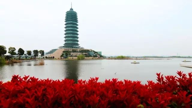 秋日的水博园生态湿地公园芦泽肥美,湖泊澄净,已是一片风光大好,景色