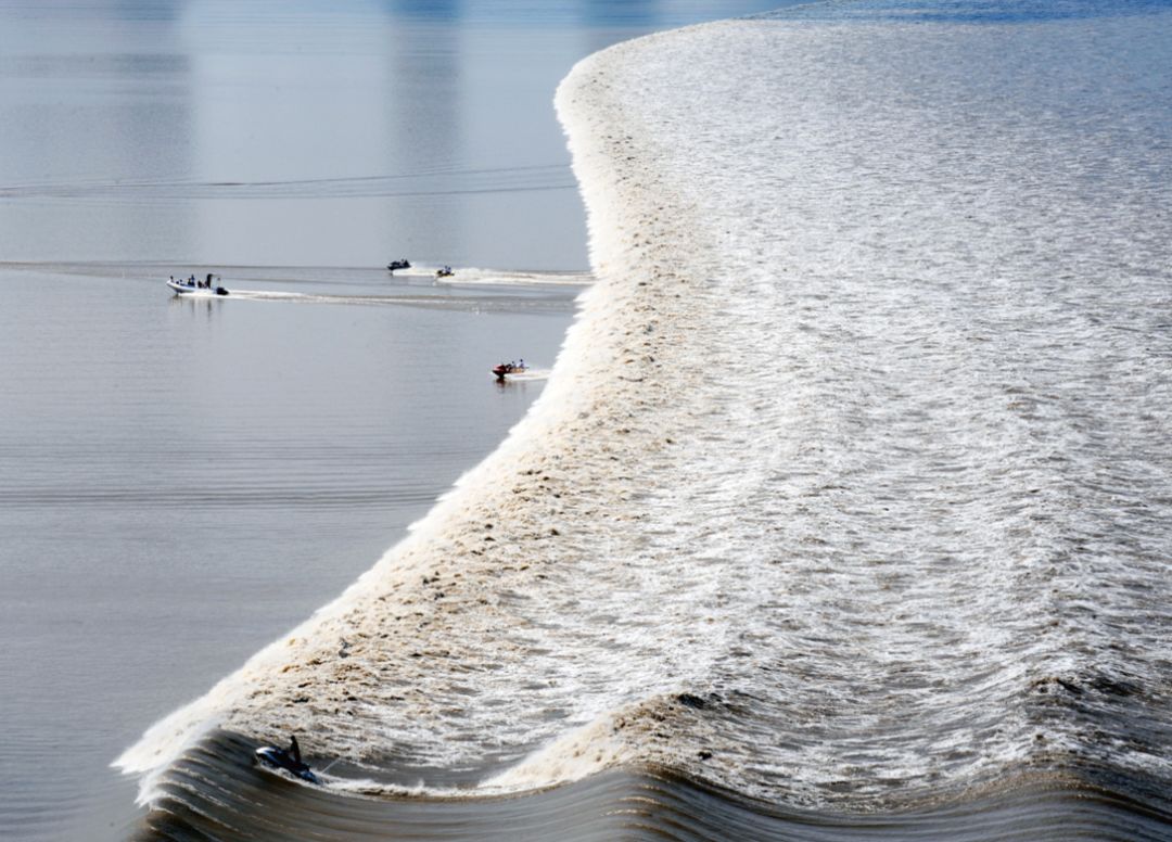 88个萧山元素亮相央视"小春晚"!