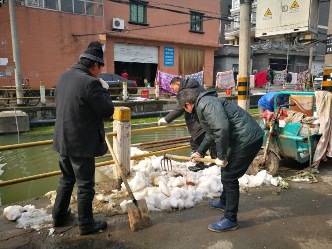 涝湖村开展迎新春环境整治活动