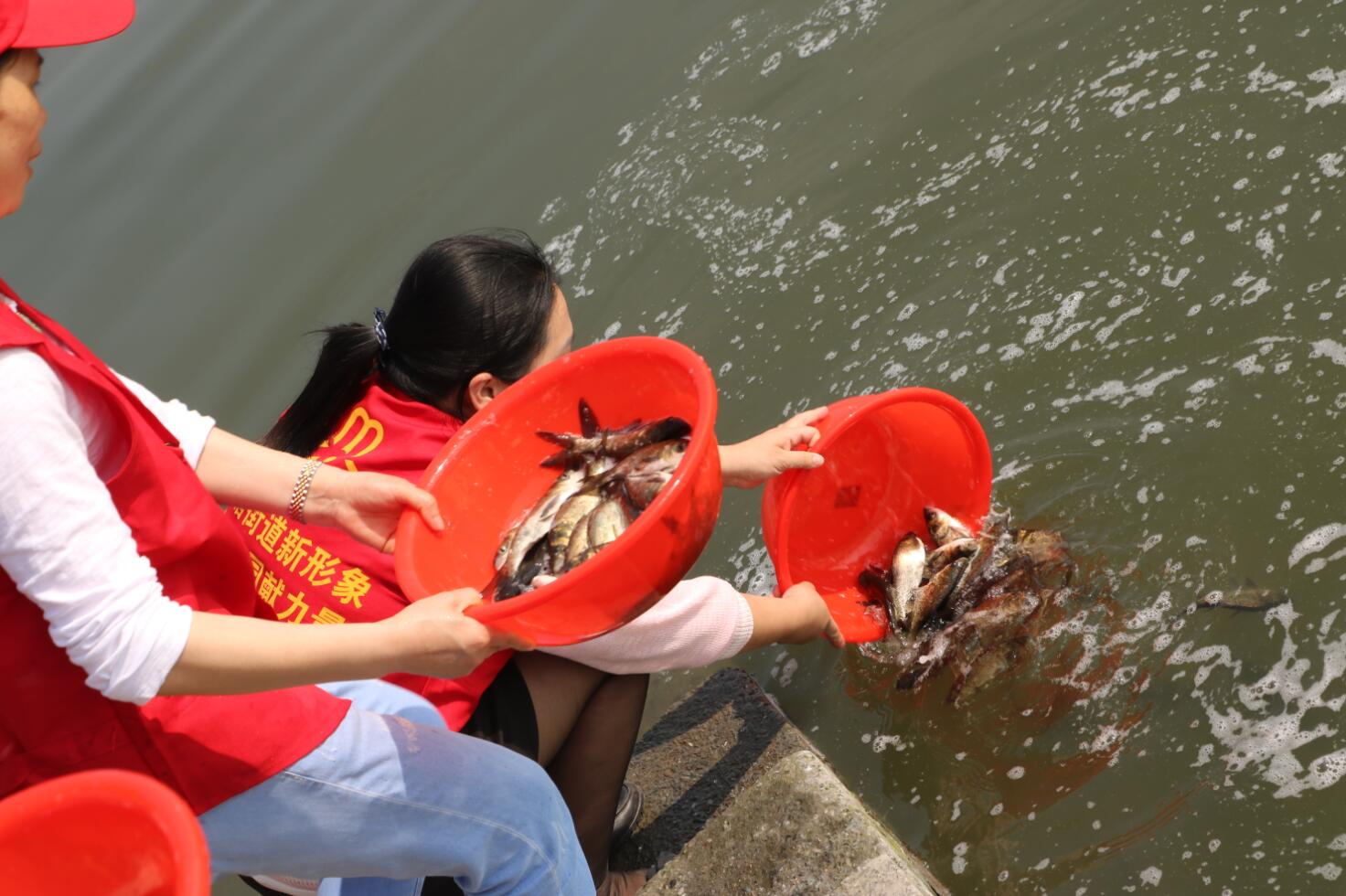 放生小鱼苗 激活源头水_湘湖网_湘湖视界