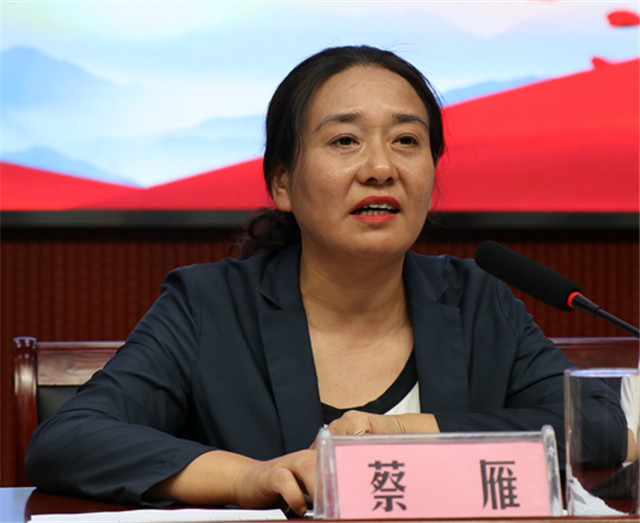 街道党工委副书记,办事处主任蔡雁讲话