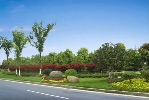 义桥这条主干道开启美颜模式,要蝶变为一条宜行宜游的景观大道