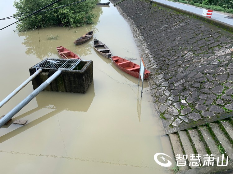 面对管涌险情 义桥村干部奋勇化解