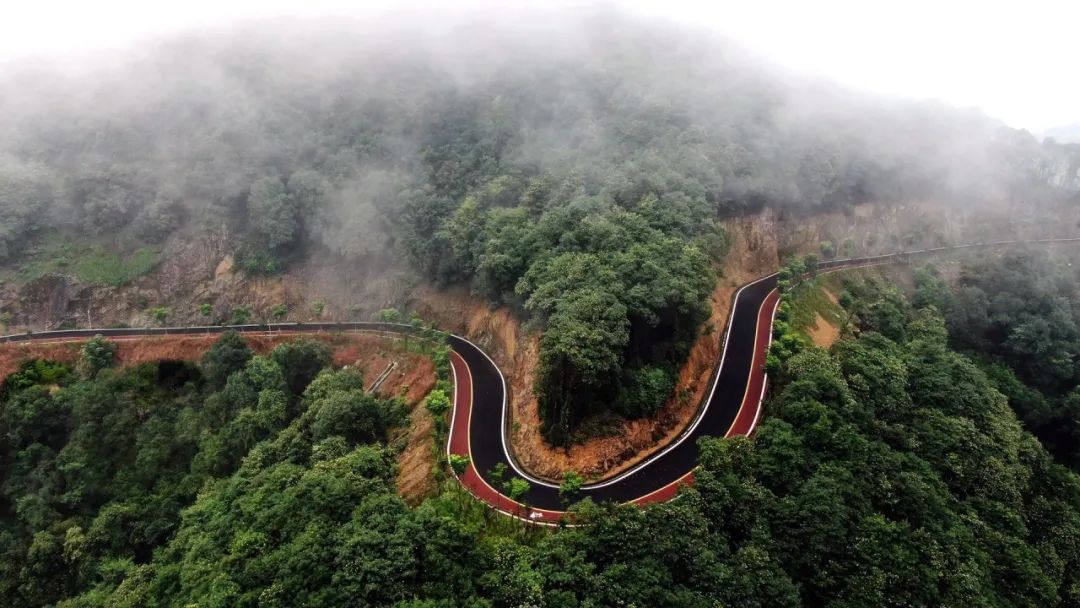 萧山这处林道有点美!你去过吗?