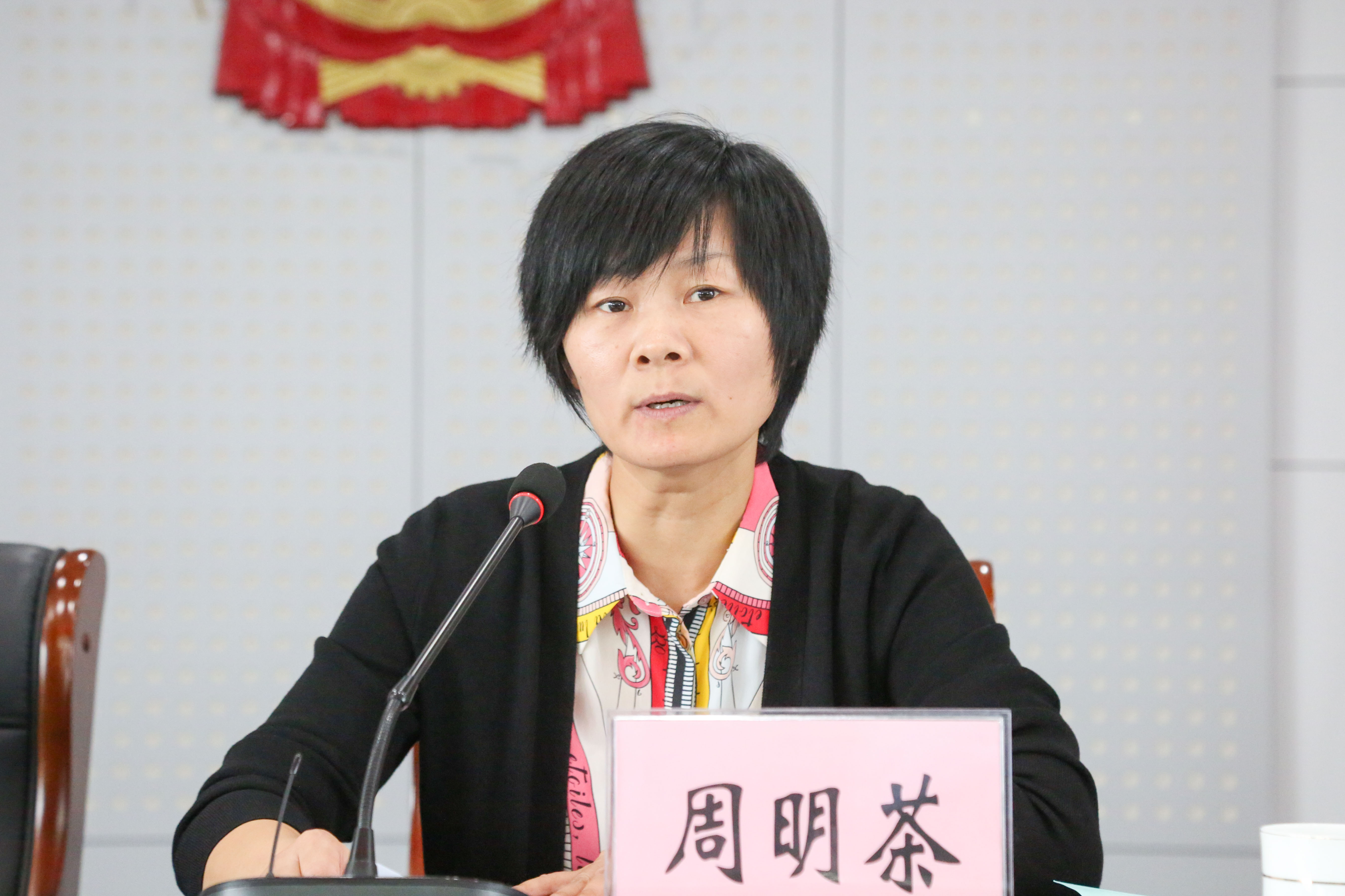 党工委副书记周明茶主持会议党工委委员,办事处副主任张海清部署安全