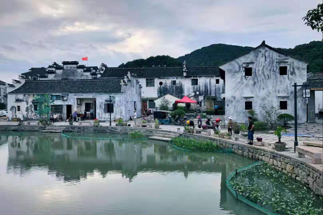 萧山最美古村落图片