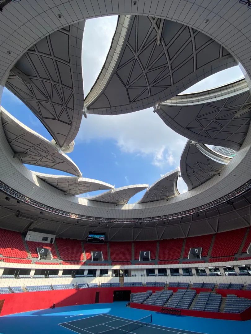 这朵杭州的"小莲花",让人惊艳!