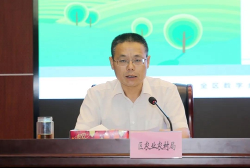 区政府党组成员吴建华主持会议.