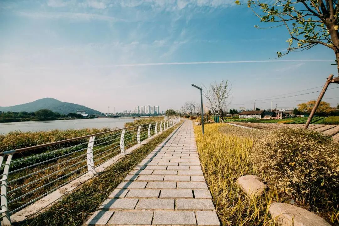 美丽河湖建设3处,官河沿线绿道,西小江衙前段景观工程竣工;实现垃圾