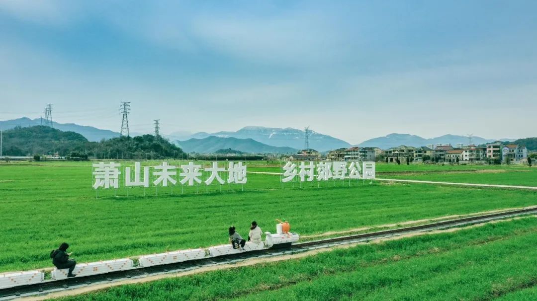 萧山区临浦镇横一村:从卖柿子到卖风景,撬动共同富裕的杠杆_湘湖网_湘