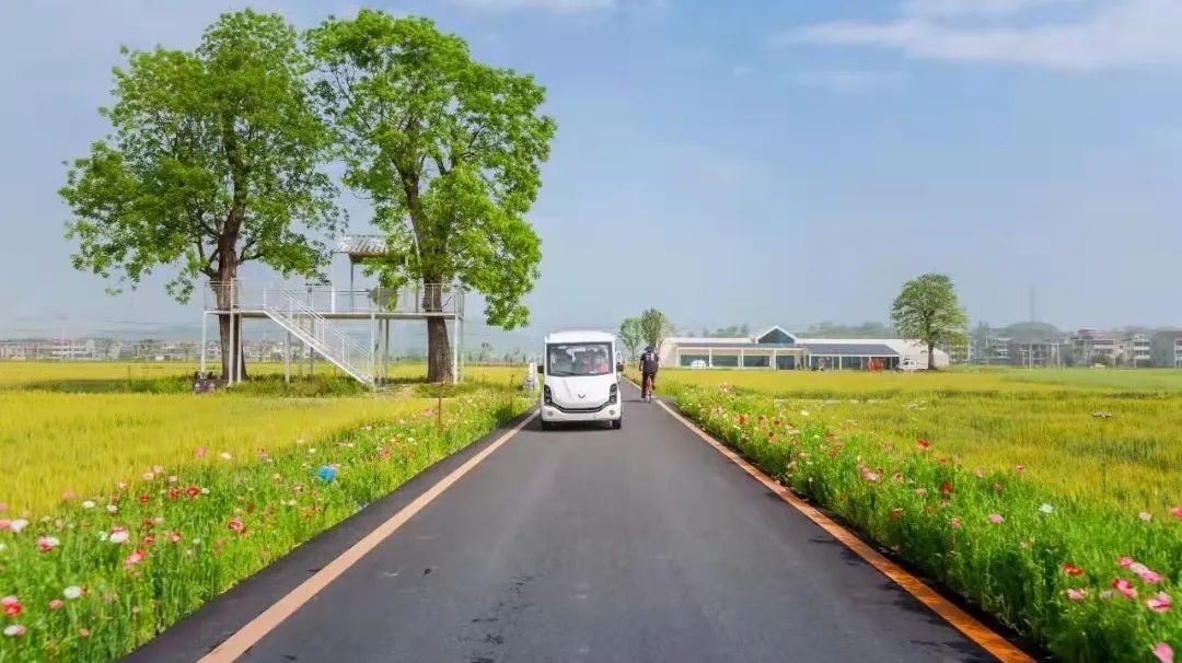 萧山区临浦镇横一村:从卖柿子到卖风景,撬动共同富裕的杠杆_湘湖网_湘