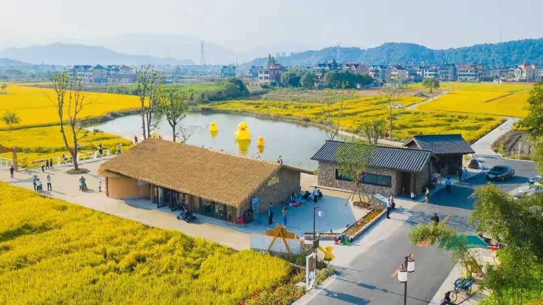 萧山区临浦镇横一村:从卖柿子到卖风景,撬动共同富裕的杠杆_湘湖网_湘