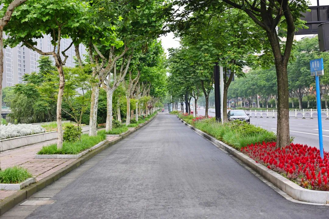 靓了萧山这些道路升级归来