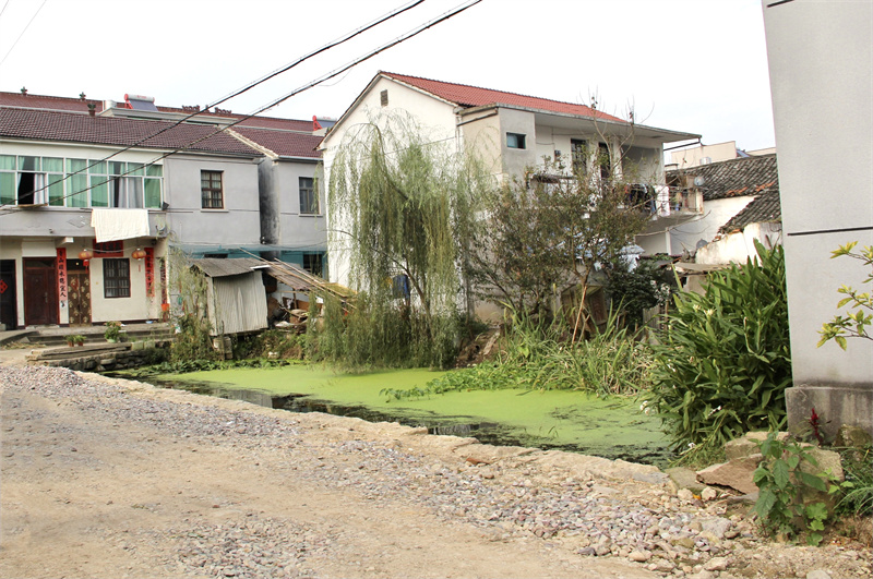 随后,记者走访了桐琴镇金湖村,同样发现不管是公园还是乡间小道,都是