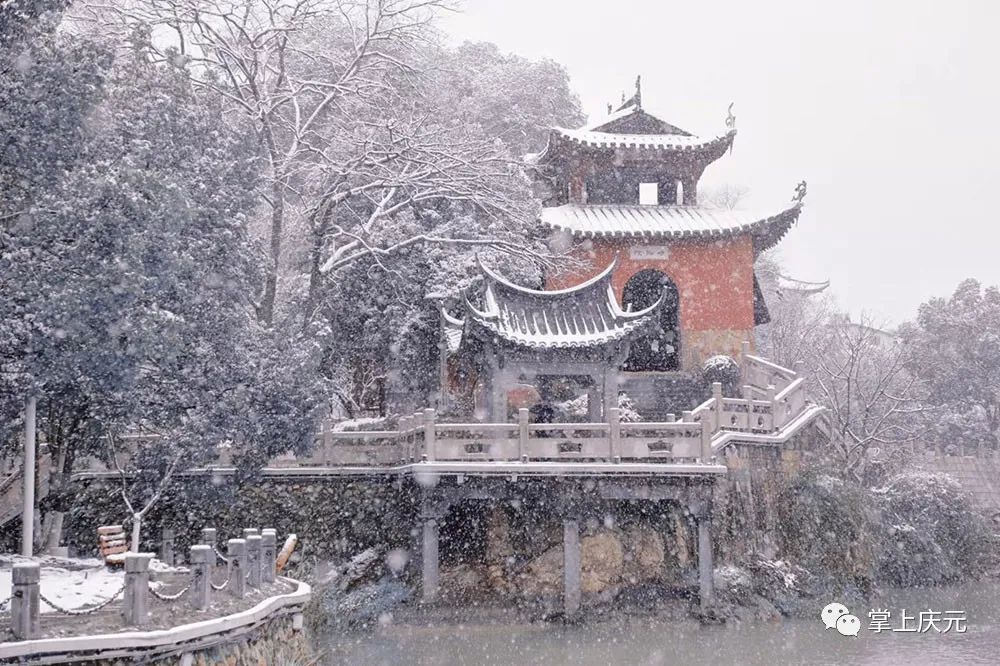 雪中庆元一场春雪悄然而至!
