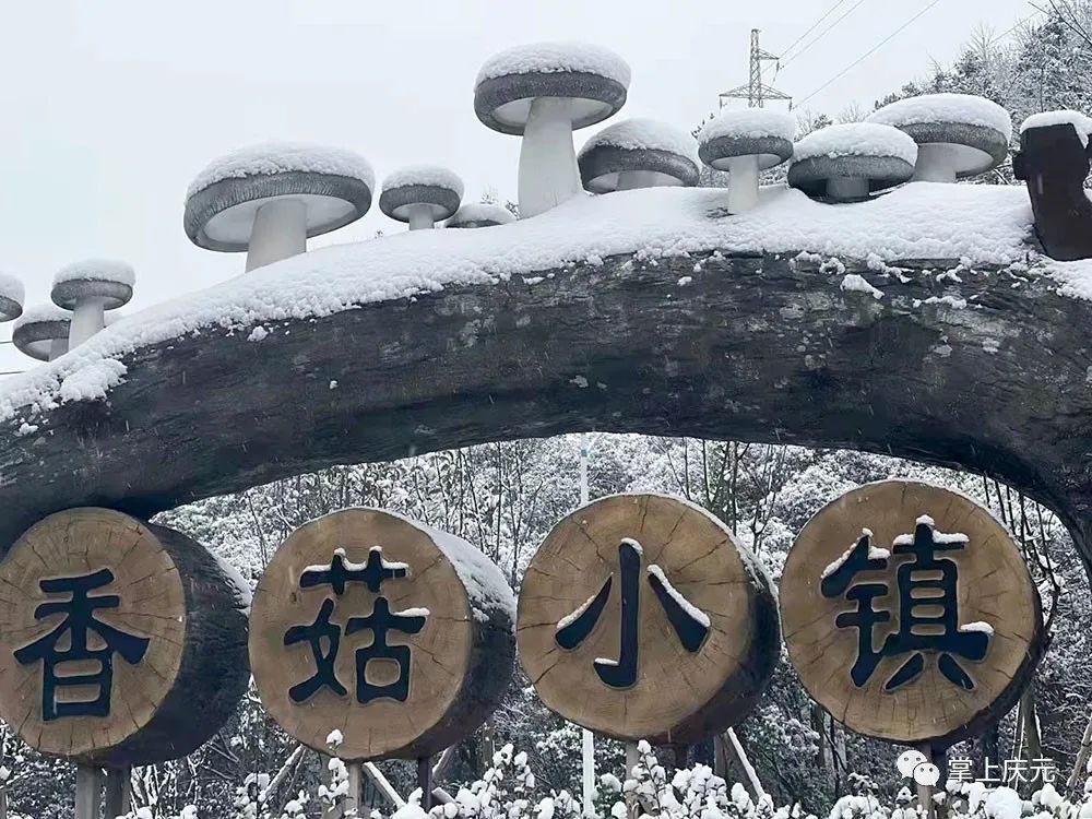 雪中庆元每一帧每一秒都美到窒息