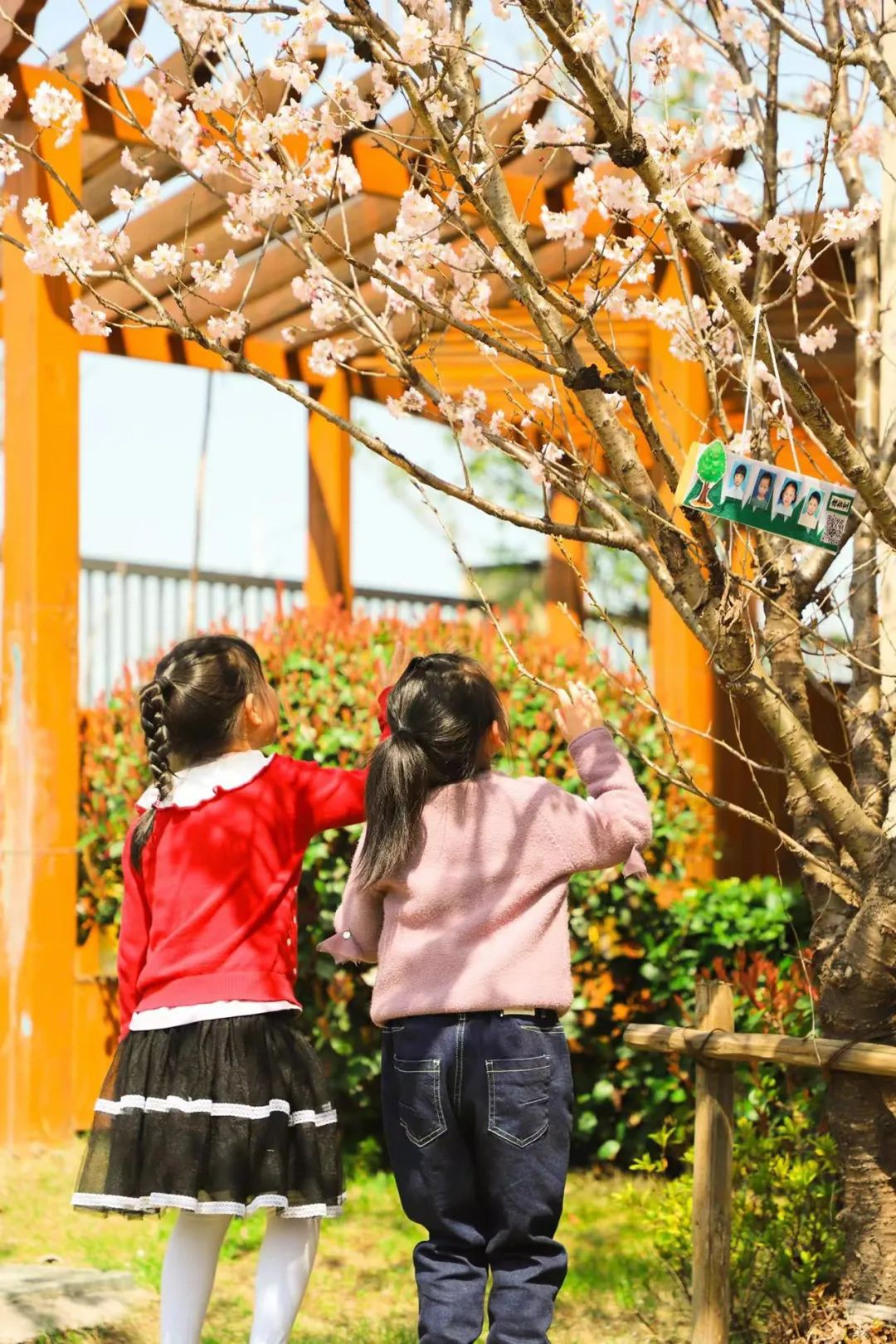 慈溪市錦堂高級職業中學餘姚餘姚市小曹娥鎮中心小學寧海寧海縣城中