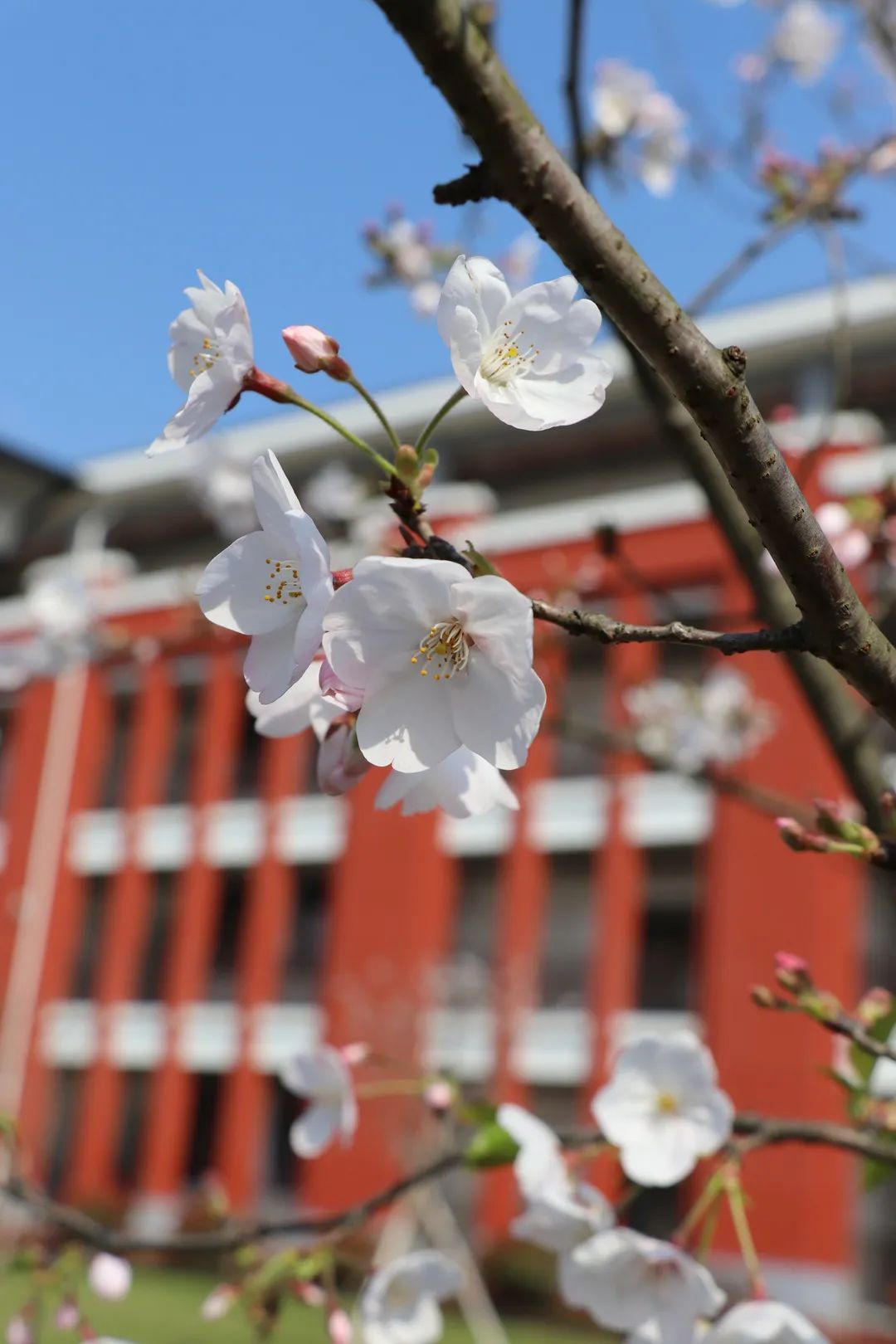 望海小學象山象山縣牆頭學校象山縣西周鎮華翔幼兒園象山縣塔山幼兒園