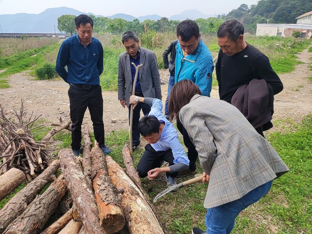 象山縣松材線蟲病年度防治工作已全面完成