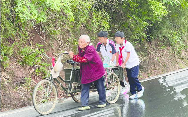 帮卖菜老人推车上坡两兄弟感动全国网友