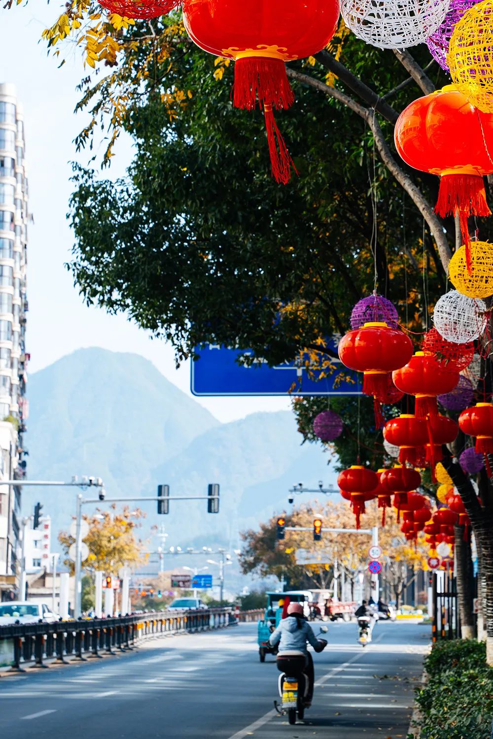 嗨庆元人回家过年啦