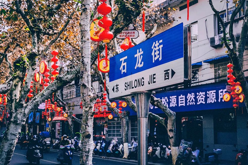 嗨庆元人回家过年啦