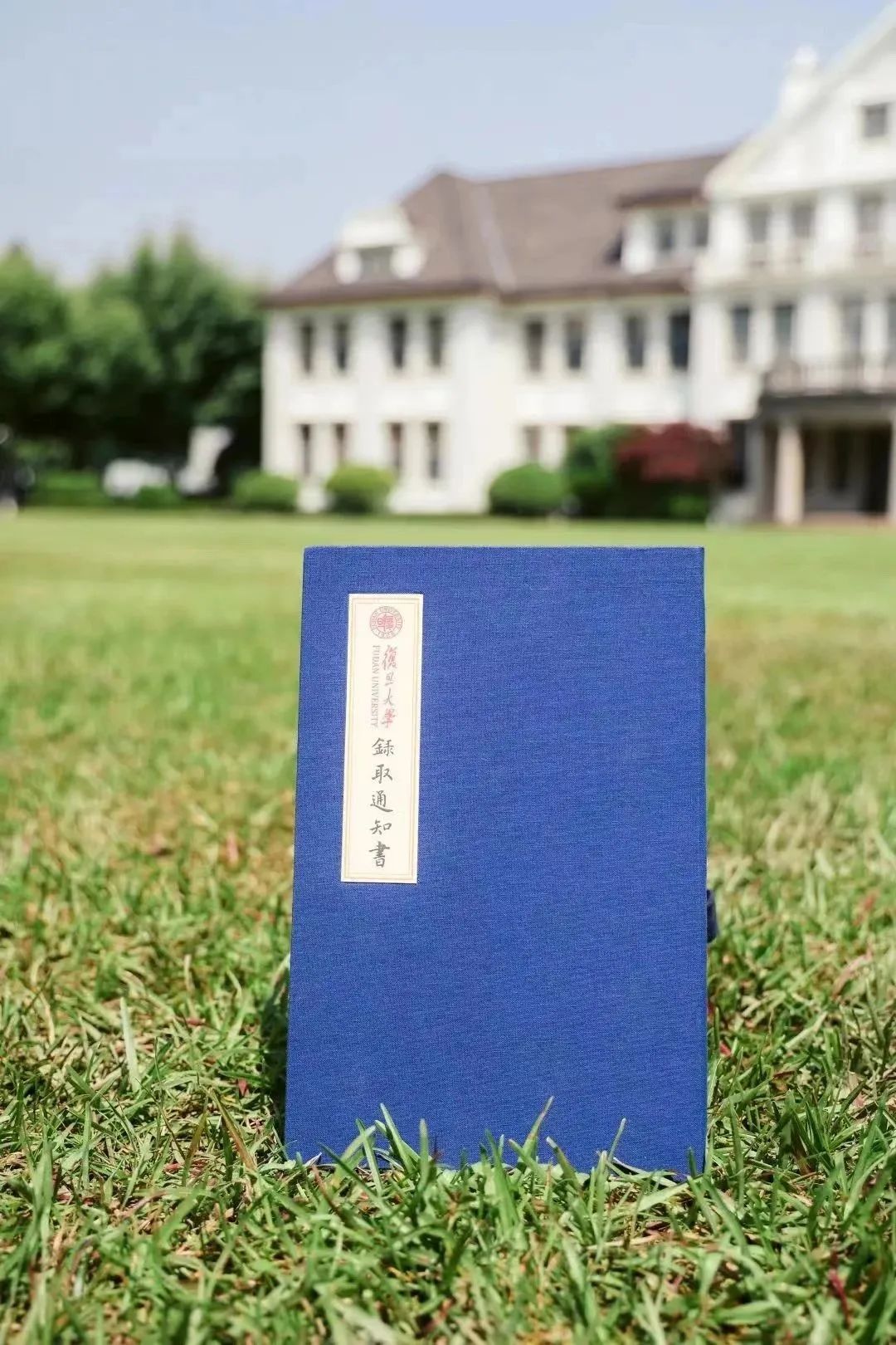 独家揭秘：纸牌屋第三季迅雷下载攻略 (纸salt)