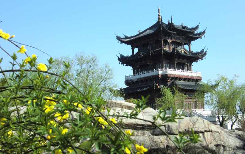 翠光阁春到花闹探 春 者正月正 听道情古稀老人赏腊梅龙游三叠岩龙游