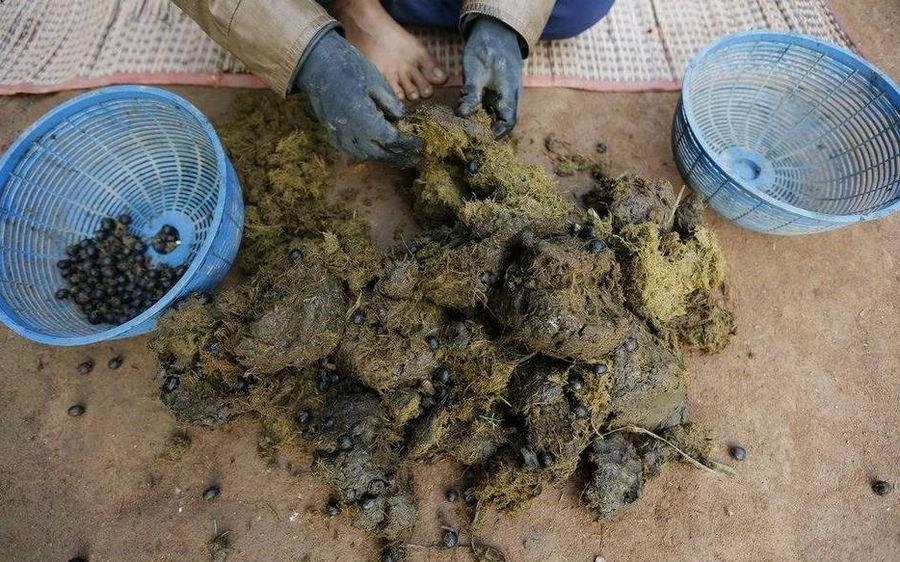 径游村:牛粪弄里看变迁