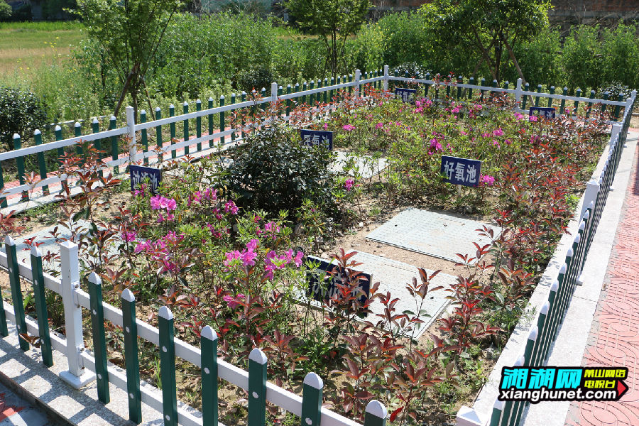 凤坞村已顺利完工