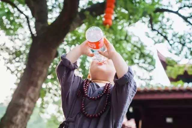 杭州灵隐寺里来了一个2岁的小和尚