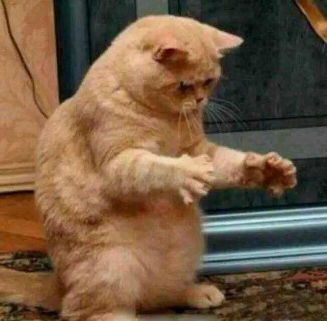 萧山128个香港134个巴黎